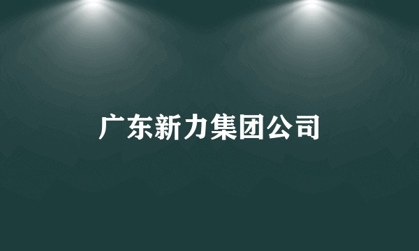 广东新力集团公司