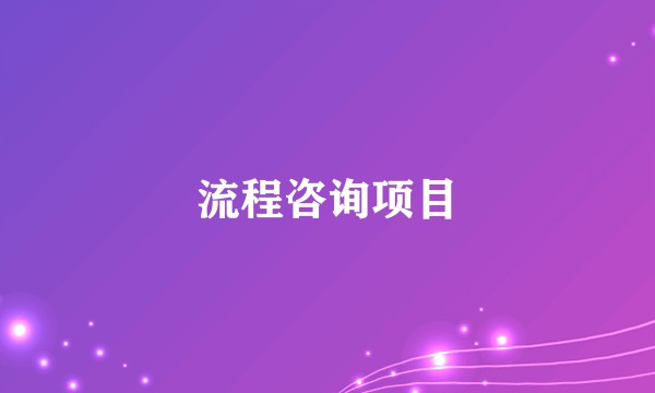 流程咨询项目