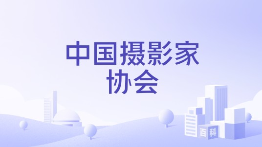 中国摄影家协会（山寨社团）