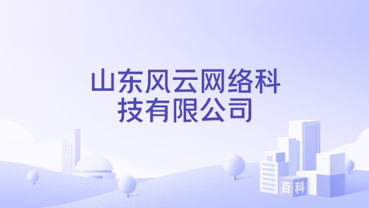 山东风云网络科技有限公司