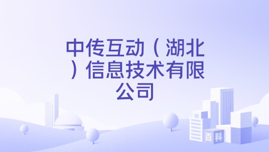 中传互动（湖北）信息技术有限公司