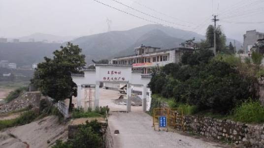 王家岭村（山东省青岛市黄岛区泊里镇王家岭村）