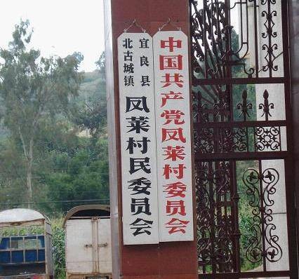 居民委员会和村民委员会