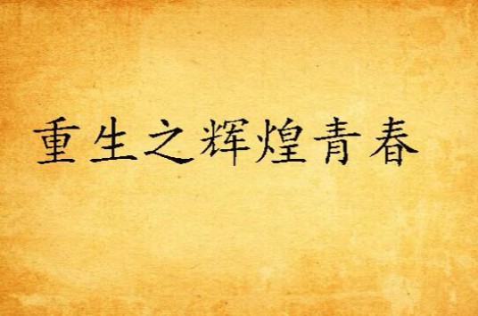 重生之辉煌青春