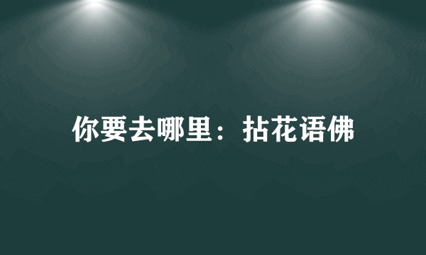 你要去哪里：拈花语佛
