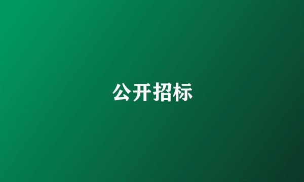 公开招标