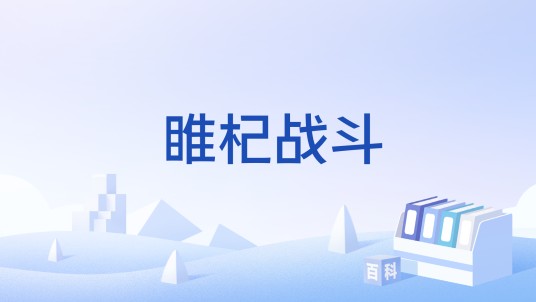 睢杞战斗