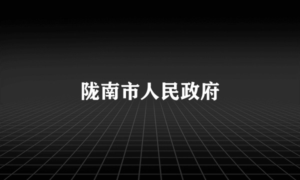 陇南市人民政府