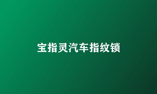 宝指灵汽车指纹锁