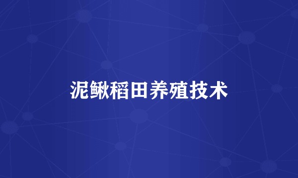 泥鳅稻田养殖技术