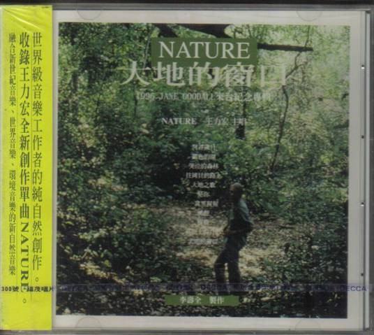 是你（1996年王力宏演唱的歌曲）