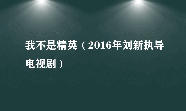 我不是精英（2016年刘新执导电视剧）