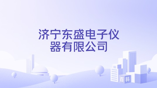 济宁东盛电子仪器有限公司