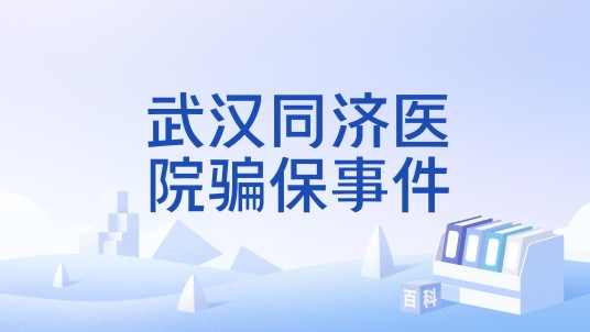 武汉同济医院骗保事件