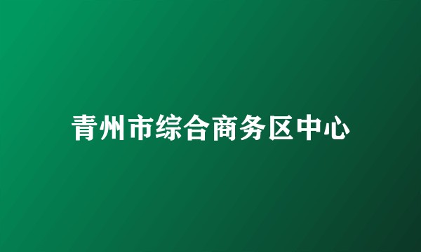 青州市综合商务区中心