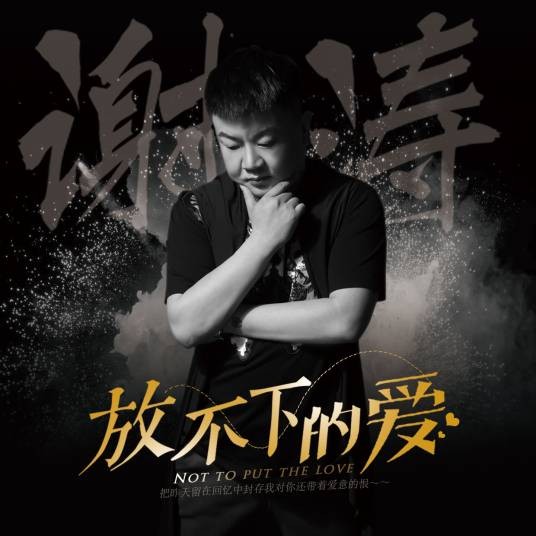 放不下的爱（谢涛演唱歌曲）