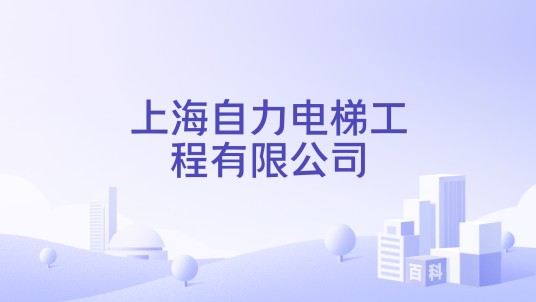 上海自力电梯工程有限公司