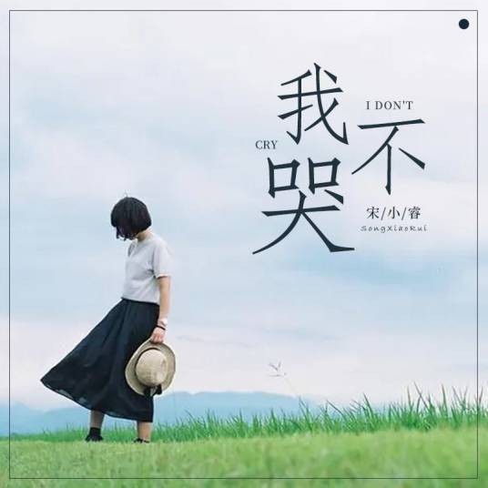 我不哭(2021年宋小睿演唱的歌曲)