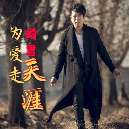 为爱走天涯（崎君演唱的歌曲）