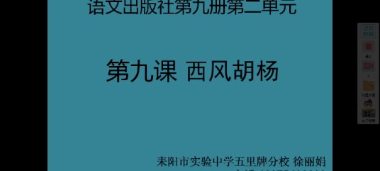 《西风胡杨》第二课时
