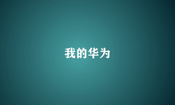 我的华为