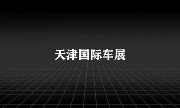 天津国际车展
