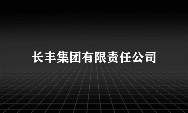 长丰集团有限责任公司