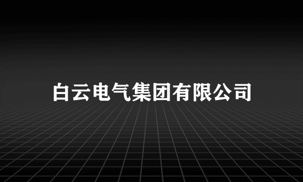 白云电气集团有限公司