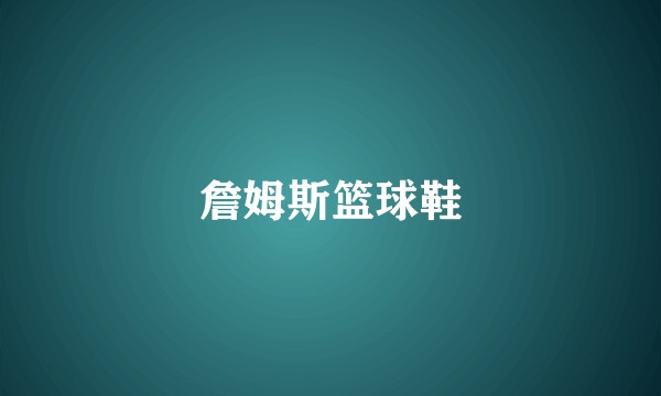 詹姆斯篮球鞋