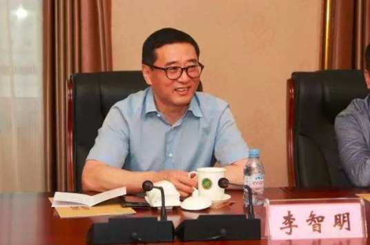 李智明(国药集团药业股份有限公司原董事长)