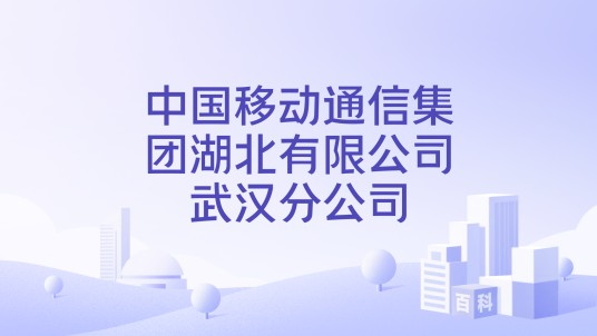 中国移动通信集团湖北有限公司武汉分公司