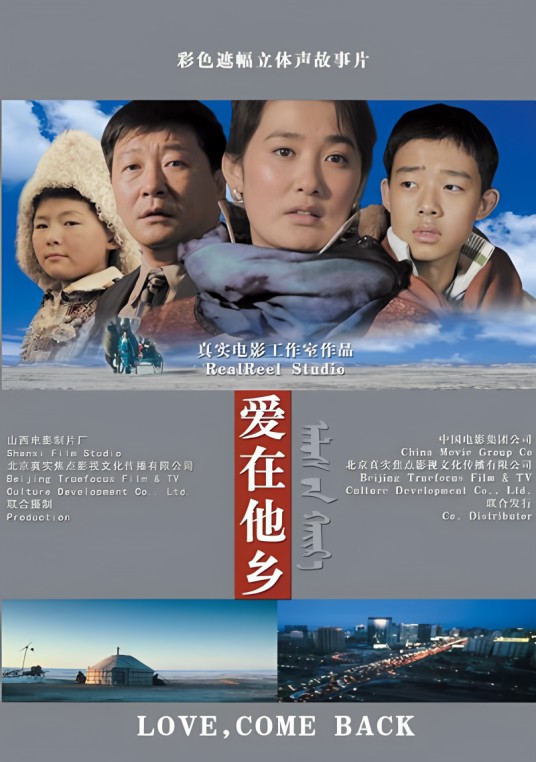 爱在他乡（2007年由陈军导演的剧情电影）