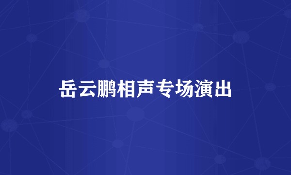 岳云鹏相声专场演出
