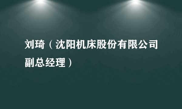 刘琦(沈阳机床股份有限公司副总经理)