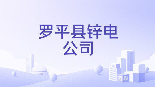 罗平县锌电公司
