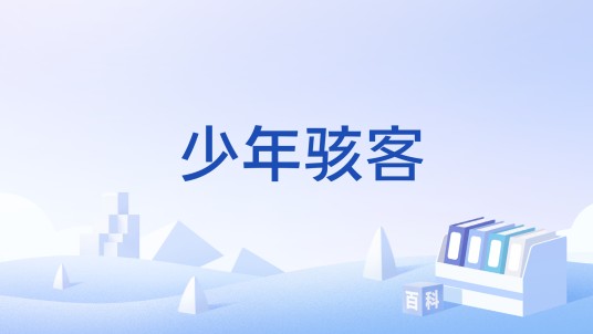 少年骇客（同名系列小游戏）