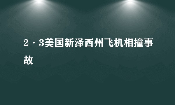 2·3美国新泽西州飞机相撞事故