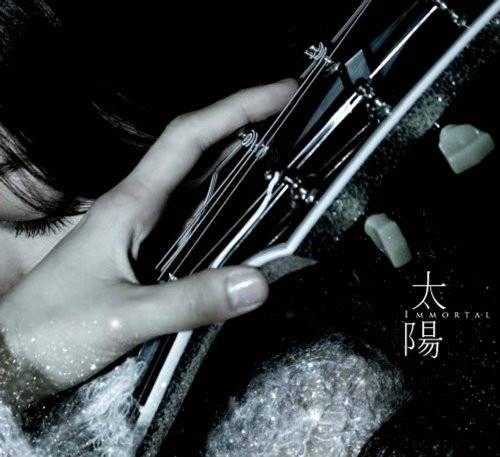 太阳（2009年陈绮贞音乐专辑）