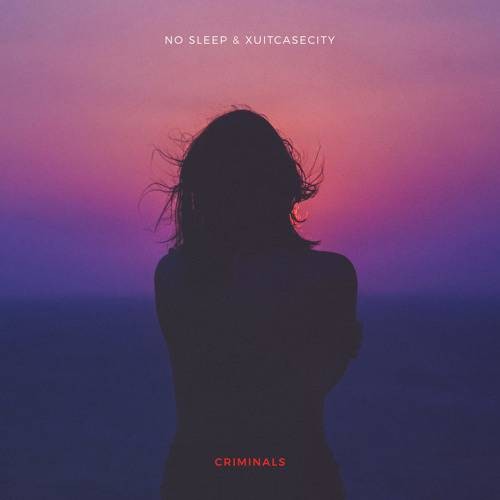Criminals（no sleep演唱的歌曲）