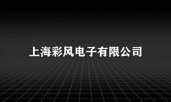上海彩风电子有限公司