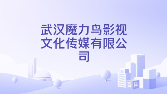武汉魔力鸟影视文化传媒有限公司