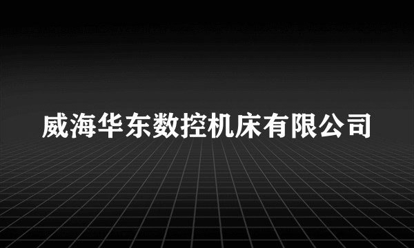 威海华东数控机床有限公司