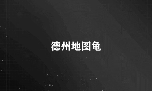 德州地图龟