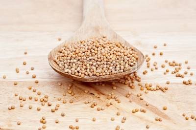 芥菜籽