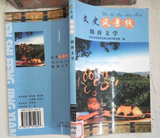 元代文学（新疆青少年出版社出版的图书）