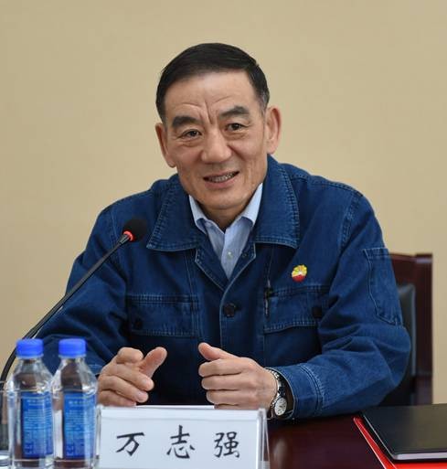 万志强（中国石油化工专家）