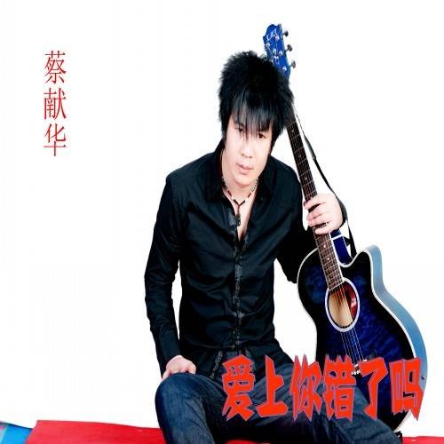 爱上你错了吗（2013年蔡献华发行的音乐专辑）