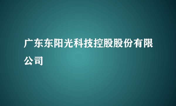 广东东阳光科技控股股份有限公司
