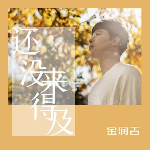 还没来得及（金润吉演唱的歌曲）