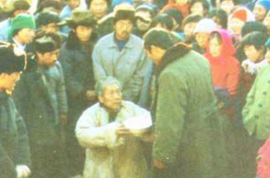 天网（1996年斗琪执导的电视剧）